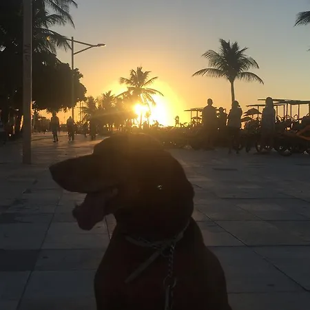 Na Localização De Fortaleza!! Apartamento Fortaleza (Ceara)