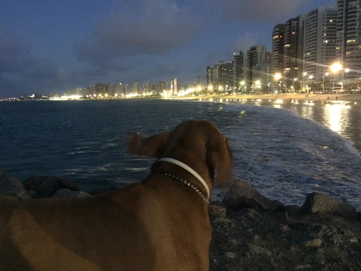 Na Localização De Fortaleza!! * Fortaleza (Ceara)