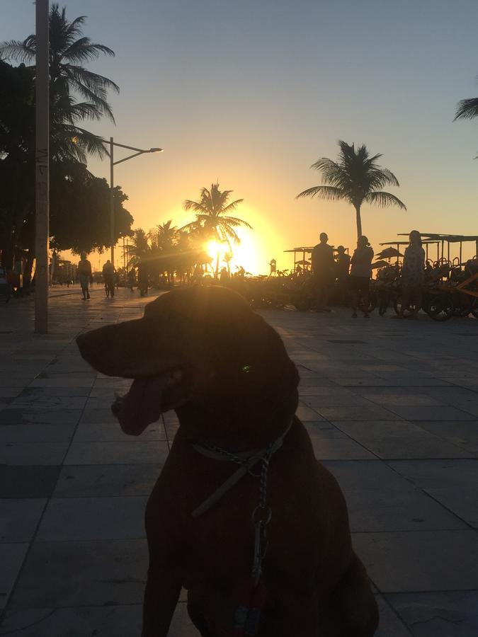 Na Localização De Fortaleza!! Apartamento Fortaleza (Ceara)